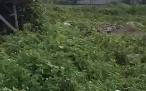 Dijual Tanah di Kesiman Kertalangu, Denpasar