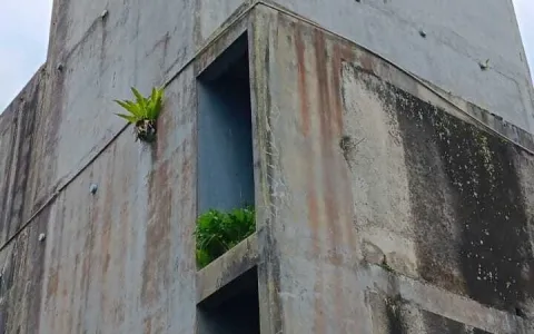Dijual Rumah Sarang Burung Walet di Sukabumi