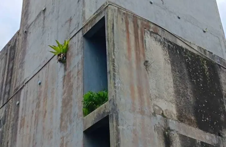 Dijual Rumah Sarang Burung Walet di Sukabumi
