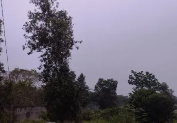 Dijual Tanah di Cilaku, Tenjo, Bogor