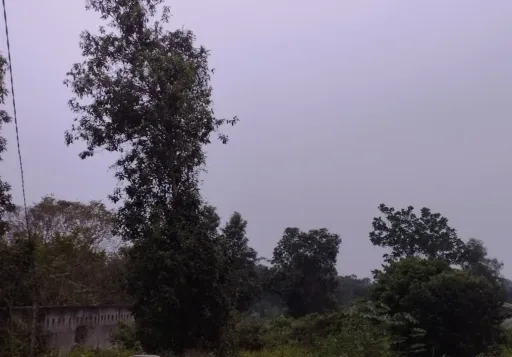 Dijual Tanah di Cilaku, Tenjo, Bogor