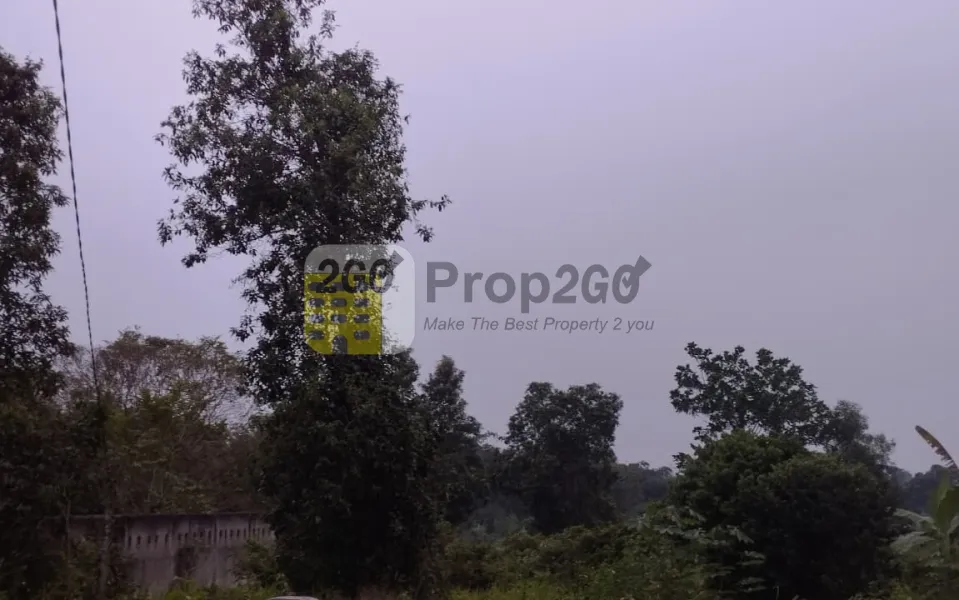 Dijual Tanah di Cilaku, Tenjo, Bogor