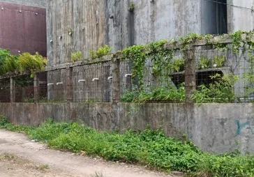 Dijual Rumah Sarang Burung Walet di Sukabumi