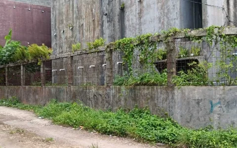 Dijual Rumah Sarang Burung Walet di Sukabumi