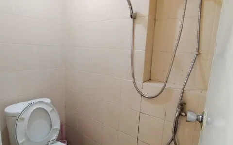Dijual dan Disewakan Apartemen Puri Park View
