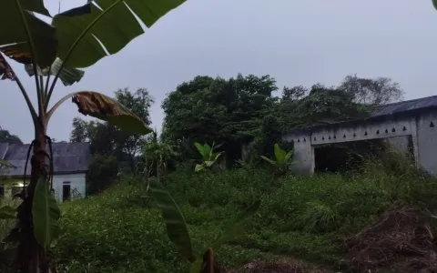 Dijual Tanah di Cilaku, Tenjo, Bogor