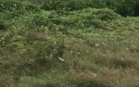 Dijual Tanah di Kesiman Kertalangu, Denpasar