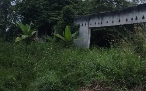Dijual Tanah di Cilaku, Tenjo, Bogor