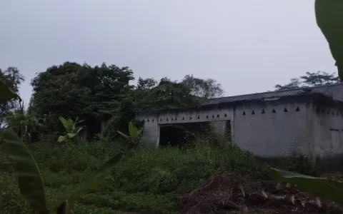 Dijual Tanah di Cilaku, Tenjo, Bogor