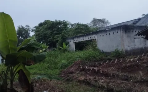 Dijual Tanah di Cilaku, Tenjo, Bogor