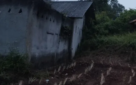 Dijual Tanah di Cilaku, Tenjo, Bogor