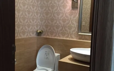 Disewakan Apartemen Botanica Residence