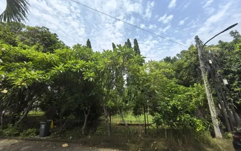 Tanah Kavling Dijual di Sunter Bisma