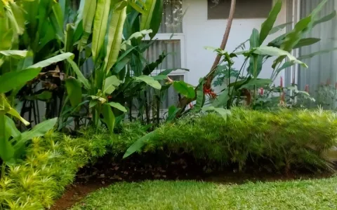 Rumah Dijual di Pejaten