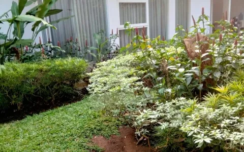 Rumah Dijual di Pejaten
