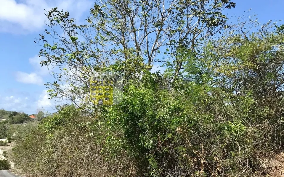 Tanah Dijual di Jl. Gayangsari, Kutuh, Badung, Bali