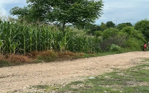 Tanah Dijual di Lombok Timur