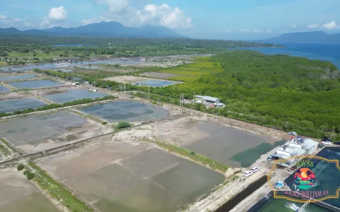 Tanah Dijual di Buleleng Bali