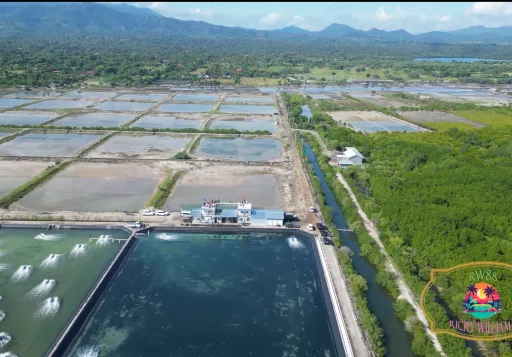 Tanah Dijual di Buleleng Bali