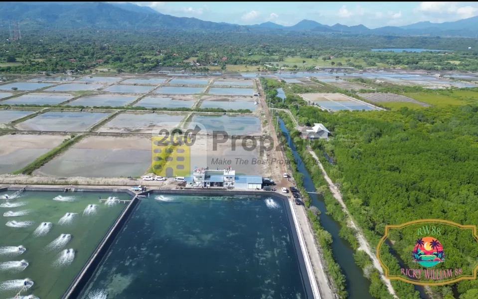 Tanah Dijual di Buleleng Bali