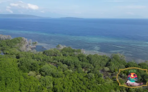 Tanah Dijual di Buleleng Bali