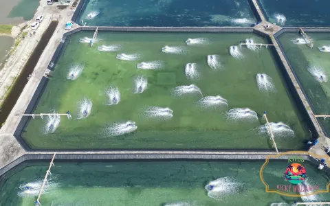 Tanah Dijual di Buleleng Bali