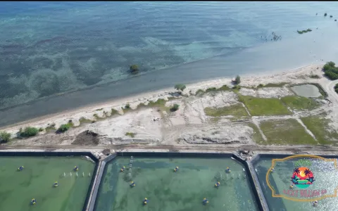Tanah Dijual di Buleleng Bali
