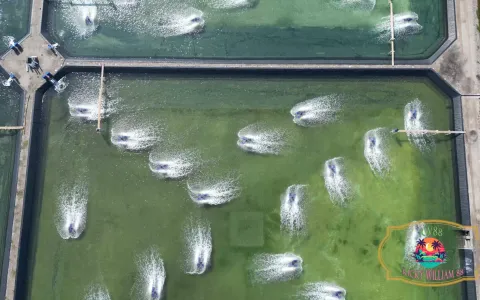 Tanah Dijual di Buleleng Bali