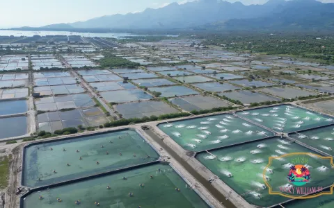 Tanah Dijual di Buleleng Bali