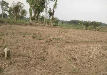 Tanah Dijual Cepat di Cikareo
