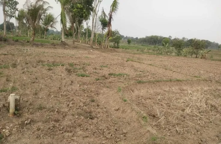Tanah Dijual Cepat di Cikareo
