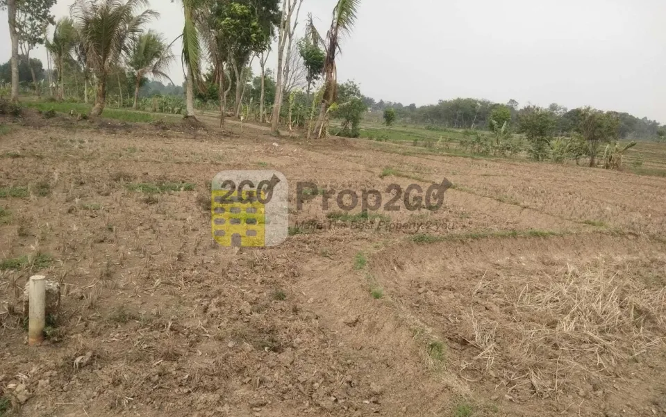 Tanah Dijual Cepat di Cikareo