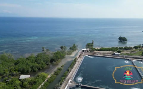 Tanah Dijual di Buleleng Bali