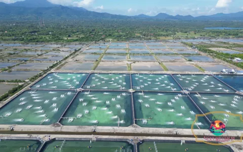 Tanah Dijual di Buleleng Bali