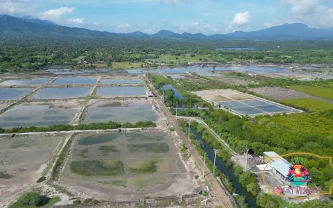 Tanah Dijual di Buleleng Bali