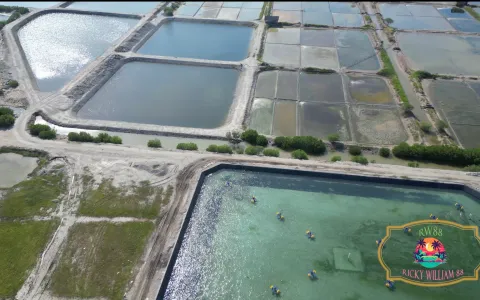 Tanah Dijual di Buleleng Bali