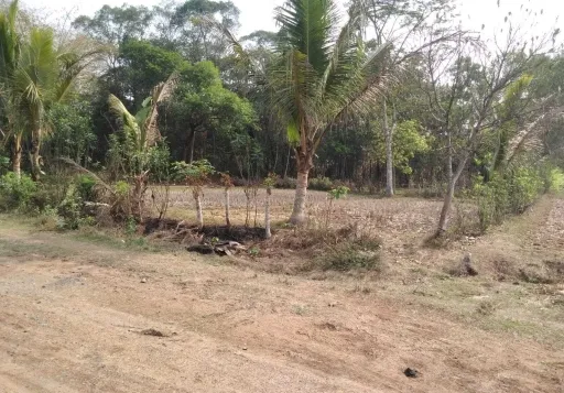 Tanah Dijual Cepat di Tigaraksa