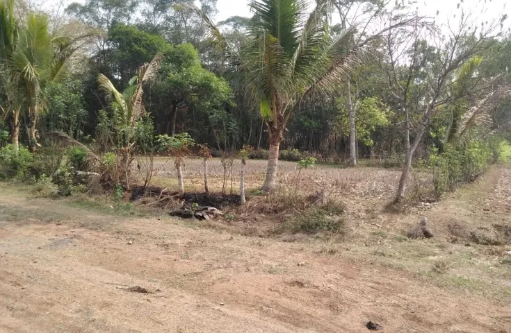 Tanah Dijual Cepat di Tigaraksa