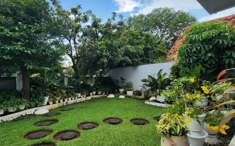 Tropical House at Pancoran, Jakarta Selatan