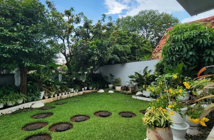 Tropical House at Pancoran, Jakarta Selatan