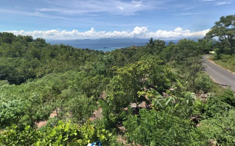 For Sale Land at Klungkung, Bali
