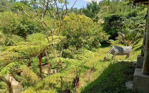 Jual Taman Wisata Aktif di Tulung Agung, Jawa Timur