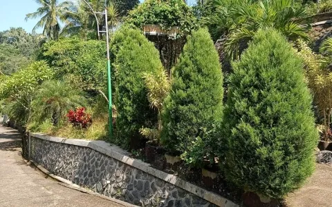 Jual Taman Wisata Aktif di Tulung Agung, Jawa Timur