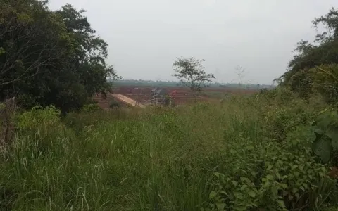 Jual Tanah di Jambon, Mekar, Parung