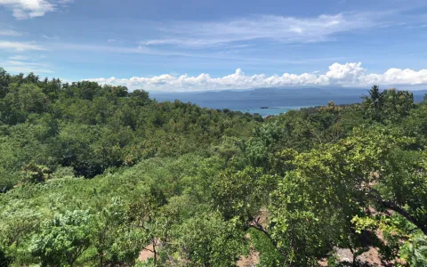 For Sale Land at Klungkung, Bali