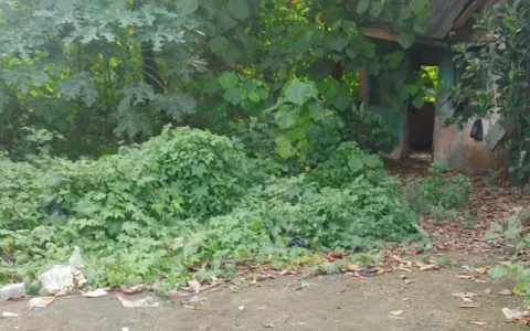 Jual Tanah di Cikupa Akses Kontainer