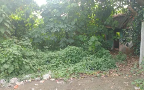 Jual Tanah di Cikupa Akses Kontainer