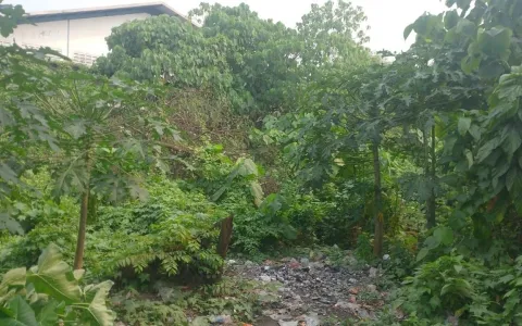 Jual Tanah di Cikupa Akses Kontainer